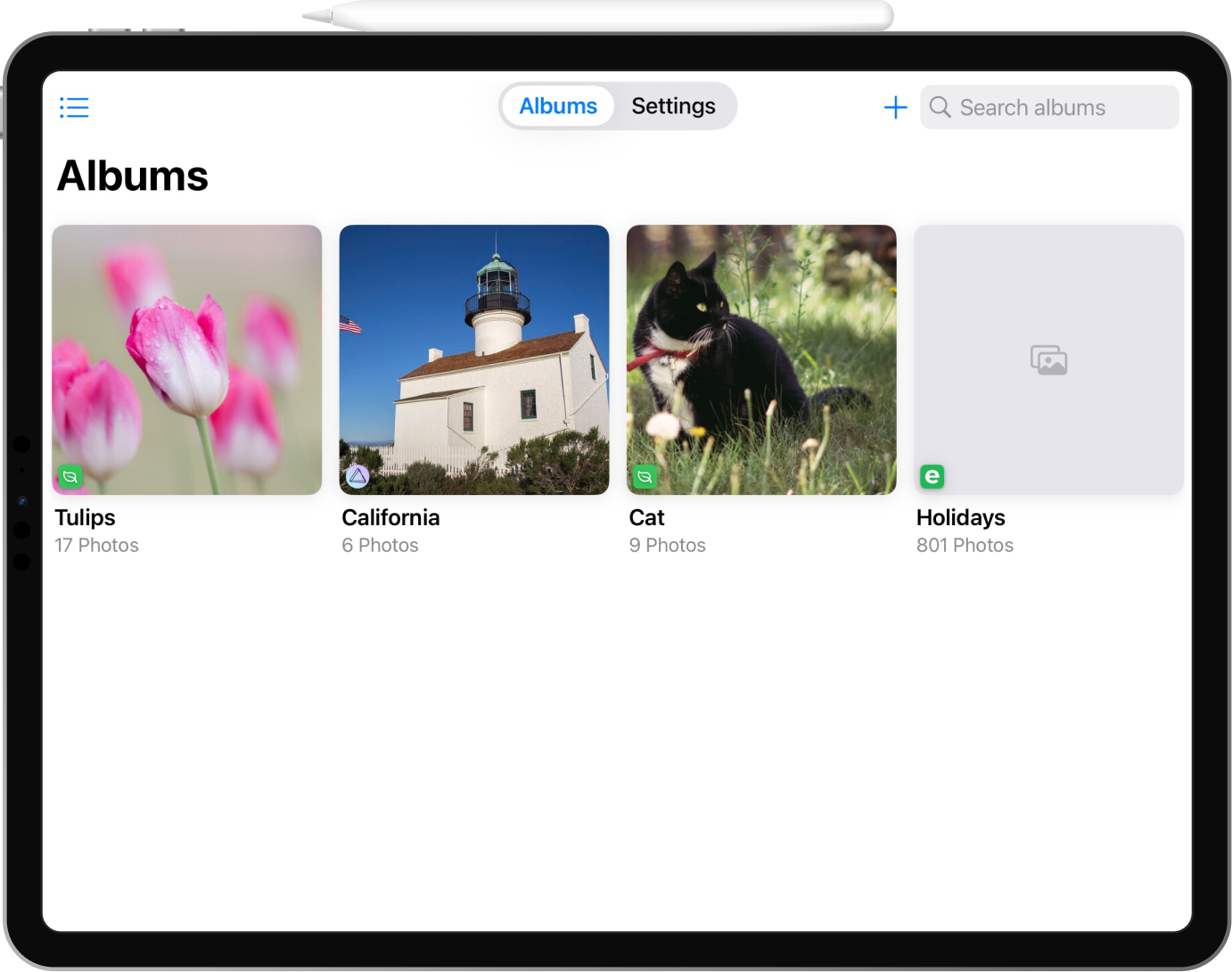 OmniAlbum iPad app showing photo albums from multiple providers